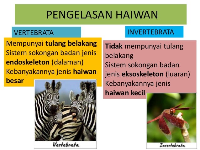 Biodiversiti