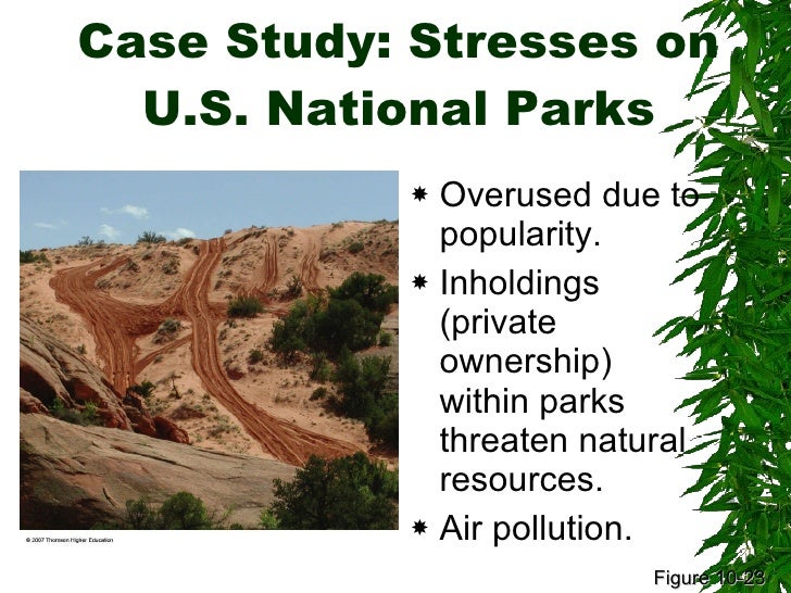 What Are The Yamuna Biodiversity Park Natural Resources What Are The Yamuna Biodiversity Park Natural Resources