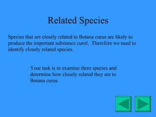 Biodiversity | PPT