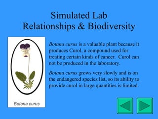 Simulated Lab Relationships & Biodiversity Botana curus  is a valuable plant because it produces Curol, a compound used for treating certain kinds of cancer.  Curol can not be produced in the laboratory. Botana curus  grows very slowly and is on the endangered species list, so its ability to provide curol in large quantities is limited. 