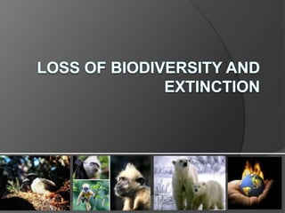 Loss of Biodiversity and Extinction 
