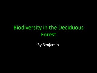 Biodiversity in the Deciduous Forest By Benjamin  