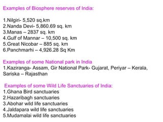 Examples of Biosphere reserves of India:

1.Nilgiri- 5,520 sq.km
2.Nanda Devi- 5,860.69 sq. km
3.Manas – 2837 sq. km
4.Gulf of Mannar – 10,500 sq. km
5.Great Nicobar – 885 sq. km
6.Panchmarhi – 4,926.28 Sq Km

Examples of some National park in India
1.Kaziranga- Assam, Gir National Park- Gujarat, Periyar – Kerala,
Sariska – Rajasthan

Examples of some Wild Life Sanctuaries of India:
1.Ghana Bird sanctuaries
2.Hazaribagh sanctuaries
3.Abohar wild life sanctuaries
4.Jaldapara wild life sanctuaries
5.Mudamalai wild life sanctuaries
 
