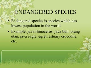 ENDANGERED SPECIES
• Endangered species is species which has
lowest population in the world
• Example: java rhinoceros, java bull, orang
utan, java eagle, egret, estuary crocodile,
etc.
 