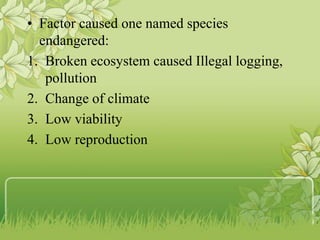• Factor caused one named species
endangered:
1. Broken ecosystem caused Illegal logging,
pollution
2. Change of climate
3. Low viability
4. Low reproduction
 