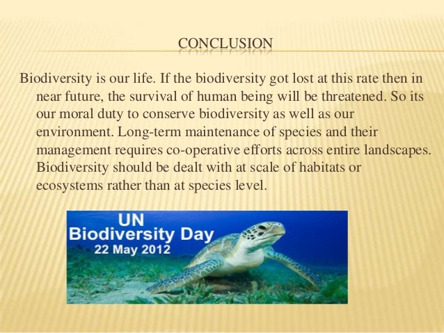 biodiversity research paper conclusion