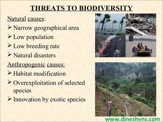 What are some threats to biodiversity?