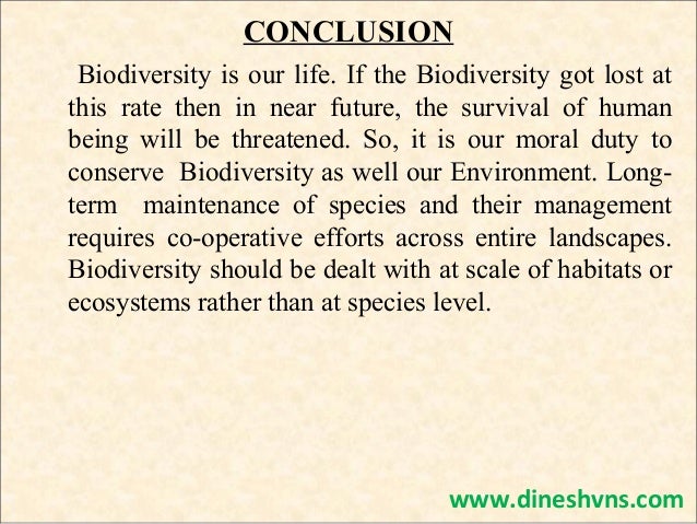 essay conclusion on biodiversity