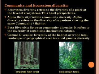 biodiversity-131107231347-phpapp02.pdf