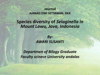 Journal
AHMAD DWI SETYAWAN. DKK
Species diversity of Selaginella in
Mount Lawu, Java, Indonesia
By:
AWARI SUSANTI
Departmen of Bilogy Graduate
Faculty scinece University andalas
 