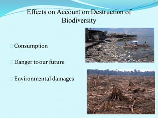 Consumption
Danger to our future
Environmental damages
Effects on Account on Destruction of
Biodiversity
 