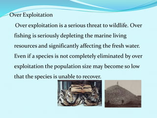 Over Exploitation
Over exploitation is a serious threat to wildlife. Over
fishing is seriously depleting the marine living
resources and significantly affecting the fresh water.
Even if a species is not completely eliminated by over
exploitation the population size may become so low
that the species is unable to recover.
 