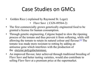 Gmcs Process GM Foods: Messiah for Mankind? | PPTX