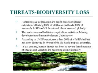 THREATS-BIODIVERSITY LOSS 
 Habitat loss & degradation are major causes of species 
extinction, affecting 89% of all threatened birds, 83% of 
mammals & 91% of all threatened plants assessed globally. 
 The main causes of habitat are agriculture activities ,Mining, 
development to human settlement ,industry etc. 
 According to UNEP report, more than 50% of wild life habitat 
has been destroyed in 49 out of 61 old world tropical countries. 
 In last century, human impact has been so severe that thousands 
of species and varieties are becoming extinct annually. 
 