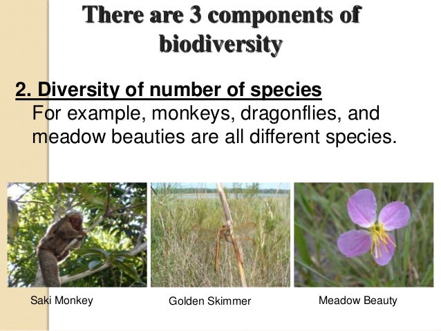 genetic structure salt Biodiversity and value threats genetic structure salt Biodiversity and value threats
