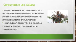 • THE MOST IMPORTANT POINT OF CONSUMPTIVE USE IS
THAT SOME RURAL COMMUNITIES CLOSEST TO THE FORESTS
OR OTHER NATURAL AREAS CAN PROSPER THROUGH THE
SUSTAINABLE HARVESTING OF WILDLIFE SPECIES.
• HUNTING, DIRECT-CONSUMPTION (E.G. COLLECTION
OF BERRIES, MUSHROOMS, HERBS, PLANTS) ARE ALL
“CONSUMPTIVE USES”
Consumptive use Values:
 