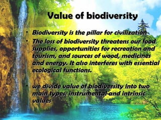 Value of biodiversityValue of biodiversity
• Biodiversity is the pillar for civilizationBiodiversity is the pillar for civilization
• The loss of biodiversity threatens our foodThe loss of biodiversity threatens our food
supplies, opportunities for recreation andsupplies, opportunities for recreation and
tourism, and sources of wood, medicinestourism, and sources of wood, medicines
and energy. It also interferes with essentialand energy. It also interferes with essential
ecological functions.ecological functions.
• we divide value of biodiversity into twowe divide value of biodiversity into two
main types: instrumental and intrinsicmain types: instrumental and intrinsic
valuesvalues
 