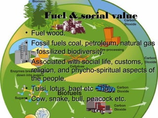 Fuel & social valueFuel & social value
• Fuel wood.Fuel wood.
• Fossil fuels coal, petroleum, natural gasFossil fuels coal, petroleum, natural gas
– fossilized biodiversity.– fossilized biodiversity.
• Associated with social life, customs,Associated with social life, customs,
religion, and phycho-spiritual aspects ofreligion, and phycho-spiritual aspects of
the people.the people.
• Tulsi, lotus, bael etc – holy.Tulsi, lotus, bael etc – holy.
• Cow, snake, bull, peacock etc.Cow, snake, bull, peacock etc.
 