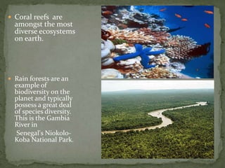  Coral reefs are
amongst the most
diverse ecosystems
on earth.
 Rain forests are an
example of
biodiversity on the
planet and typically
possess a great deal
of species diversity.
This is the Gambia
River in
Senegal's Niokolo-
Koba National Park.
 