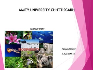 AMITY UNIVERSITY CHHTTISGARH
BIODIVERSITY
SUBMMITED BY
K.MANIKANTH
 