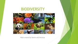 BIODIVERSITY
Work created by Yasmin and Verónica
 