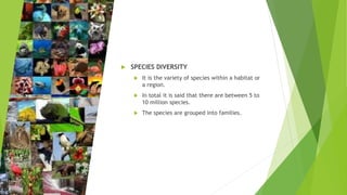  SPECIES DIVERSITY
 It is the variety of species within a habitat or
a region.
 In total it is said that there are between 5 to
10 million species.
 The species are grouped into families.
 