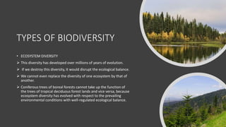 TYPES OF BIODIVERSITY
• ECOSYSTEM DIVERSITY
 This diversity has developed over millions of years of evolution.
 If we destroy this diversity, it would disrupt the ecological balance.
 We cannot even replace the diversity of one ecosystem by that of
another.
 Coniferous trees of boreal forests cannot take up the function of
the trees of tropical deciduous forest lands and vice versa, because
ecosystem diversity has evolved with respect to the prevailing
environmental conditions with well-regulated ecological balance.
 