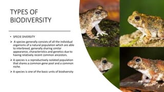 TYPES OF
BIODIVERSITY
• SPECIE DIVERSITY
 A species generally consists of all the individual
organisms of a natural population which are able
to interbreed, generally sharing similar
appearance, characteristics and genetics due to
having relatively recent common ancestors.
 A species is a reproductively isolated population
that shares a common gene pool and a common
niche.
 A species is one of the basic units of biodiversity
 