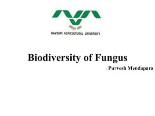 Biodiversity of Fungus
- Purvesh Mendapara
 