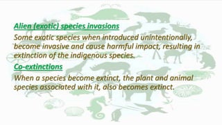 Alien (exotic) species invasions
Some exotic species when introduced unintentionally,
become invasive and cause harmful impact, resulting in
extinction of the indigenous species.
Co-extinctions
When a species become extinct, the plant and animal
species associated with it, also becomes extinct.
 