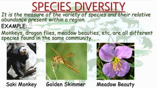 SPECIES DIVERSITY
It is the measure of the variety of species and their relative
abundance present within a region.
EXAMPLE:
Monkeys, dragon flies, meadow beauties, etc. are all different
species found in the same community.
Saki Monkey Golden Skimmer Meadow Beauty
 