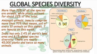 GLOBAL SPECIES DIVERSITY
More than 70% of all the species
are animals, while plants account
for about 22% of the total.
Amongst animals, insects comprise
more than 70% that means, out of
every 10 animals on this planet, 7
are insects on this earth.
India has only 2.4% of world’s land
area and 8.1% global species
diversity. There are nearly
45,000 plants and twice as many
animals.
 