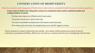 Strategies for conservation of biodiversity | PDF