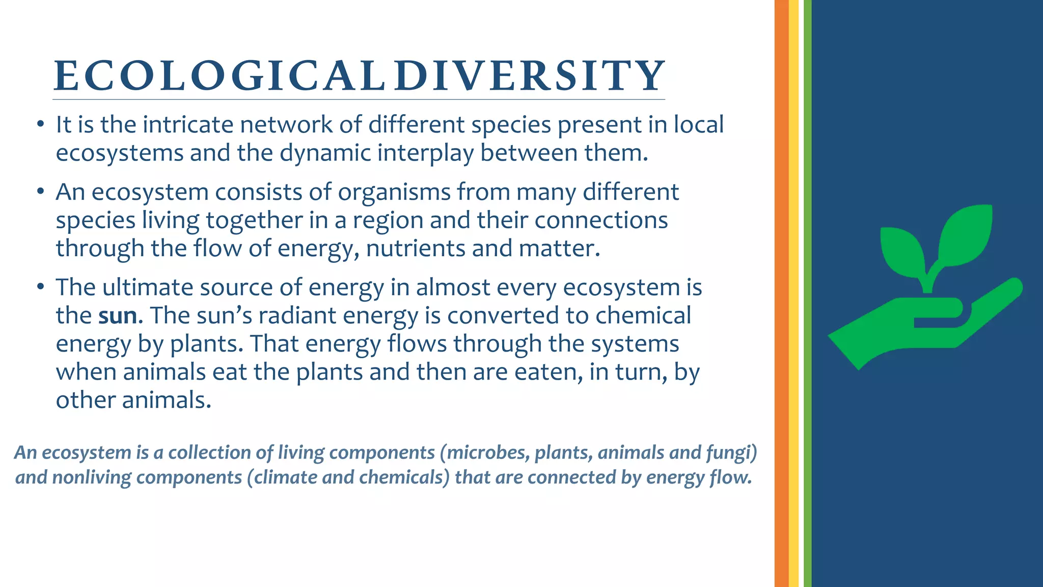 ECOLOGICALDIVERSITY
• It is the intricate network of different species present in local
ecosystems and the dynamic interplay between them.
• An ecosystem consists of organisms from many different
species living together in a region and their connections
through the flow of energy, nutrients and matter.
• The ultimate source of energy in almost every ecosystem is
the sun. The sun’s radiant energy is converted to chemical
energy by plants. That energy flows through the systems
when animals eat the plants and then are eaten, in turn, by
other animals.
An ecosystem is a collection of living components (microbes, plants, animals and fungi)
and nonliving components (climate and chemicals) that are connected by energy flow.
 