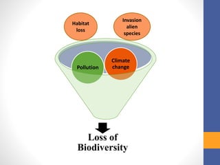 Loss of
Biodiversity
Pollution
Climate
change
Habitat
loss
Invasion
alien
species
 