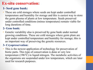 Ex-situ conservation:
1- Seed gene bank:
• These are cold storages where seeds are kept under controlled
temperature and humidity for storage and this is easiest way to store
the germ plasma of plants at low temperature. Seeds preserved
under controlled conditions (minus temperature) remain viable for
long durations of time.
2- Gene bank:
• Genetic variability also is preserved by gene bank under normal
growing conditions. These are cold storages where germ plam are
kept under controlled temperature and humidity for storage; this is
an important way of preserving the genetic resources.
3- Cryopreservation:
• This is the newest application of technology for preservation of
biotic parts. This type of conservation is done at very low
temperature (196°C) in liquid nitrogen. The metabolic activities of
the organisms are suspended under low temperature, which are later
used for research purposes.
 