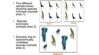 • The different
sample areas
showing species
richness (sample
area 1),
• Species
evenness
(sample area 2)
• Diversity due to
taxonomically
unrelated
species (sample
area 3)
 