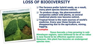  The farmers prefer hybrid seeds, as a result,
many plant species become extinct.
 To produce drugs, the pharmaceutical
companies collect wild plants, so several
medicinal plants now become extinct.
 Tropical forest is the main sources of world’s
medicine. Every year these forests are
disappearing due to the agriculture, mining,
logging.
Examples
Taxus baccate, a tree growing in sub-
Himalayan regions, once believed to be of no value
is now found to be effective against cancer.
However, this plant has become an endangered
species now.
 