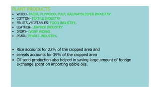PLANT PRODUCTS
• WOOD- PAPER, PLYWOOD, PULP, RAILWAYSLEEPER INDUSTRY.
• COTTON- TEXTILE INDUSTRY
• FRUITS,VEGETABLES- FOOD INDUSTRY.
• LEATHER- LEATHER INDUSTRY
• IVORY- IVORY WORKS
• PEARL- PEARLS INDUSTRY.
• Rice accounts for 22% of the cropped area and
• cereals accounts for 39% of the cropped area
• Oil seed production also helped in saving large amount of foreign
exchange spent on importing edible oils.
 