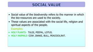 • Social value of the biodiversity refers to the manner in which
the bio-resources are used to the society.
• These values are associated with the social life, religion and
spiritual aspects of the people.
Examples:
• HOLY PLANTS- TULSI, PEEPAL, LOTUS.
• HOLY ANIMALS- COW ,SNAKE, BULL, PEACOCK,RAT.
 