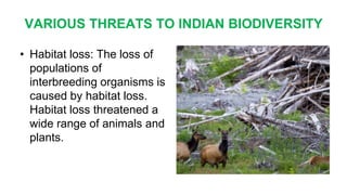 VARIOUS THREATS TO INDIAN BIODIVERSITY
• Habitat loss: The loss of
populations of
interbreeding organisms is
caused by habitat loss.
Habitat loss threatened a
wide range of animals and
plants.
 
