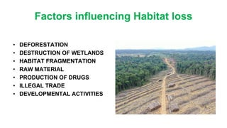Factors influencing Habitat loss
• DEFORESTATION
• DESTRUCTION OF WETLANDS
• HABITAT FRAGMENTATION
• RAW MATERIAL
• PRODUCTION OF DRUGS
• ILLEGAL TRADE
• DEVELOPMENTAL ACTIVITIES
 