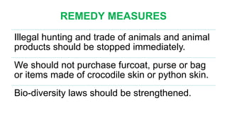 REMEDY MEASURES
Illegal hunting and trade of animals and animal
products should be stopped immediately.
We should not purchase furcoat, purse or bag
or items made of crocodile skin or python skin.
Bio-diversity laws should be strengthened.
 