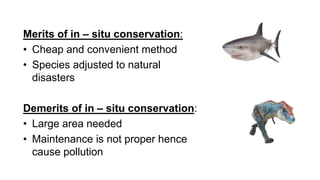Merits of in – situ conservation:
• Cheap and convenient method
• Species adjusted to natural
disasters
Demerits of in – situ conservation:
• Large area needed
• Maintenance is not proper hence
cause pollution
 