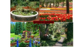 BOTANICAL GARDENS
 