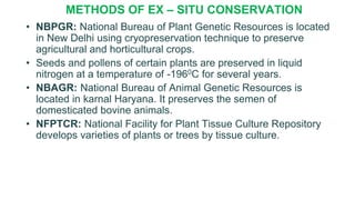 METHODS OF EX – SITU CONSERVATION
• NBPGR: National Bureau of Plant Genetic Resources is located
in New Delhi using cryopreservation technique to preserve
agricultural and horticultural crops.
• Seeds and pollens of certain plants are preserved in liquid
nitrogen at a temperature of -1960C for several years.
• NBAGR: National Bureau of Animal Genetic Resources is
located in karnal Haryana. It preserves the semen of
domesticated bovine animals.
• NFPTCR: National Facility for Plant Tissue Culture Repository
develops varieties of plants or trees by tissue culture.
 