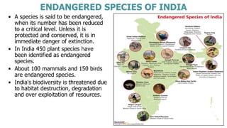 ENDANGERED SPECIES OF INDIA
• A species is said to be endangered,
when its number has been reduced
to a critical level. Unless it is
protected and conserved, it is in
immediate danger of extinction.
• In India 450 plant species have
been identified as endangered
species.
• About 100 mammals and 150 birds
are endangered species.
• India's biodiversity is threatened due
to habitat destruction, degradation
and over exploitation of resources.
 