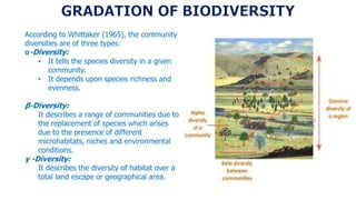 According to Whittaker (1965), the community
diversities are of three types:
α-Diversity:
• It tells the species diversity in a given
community.
• It depends upon species richness and
evenness.
β-Diversity:
It describes a range of communities due to
the replacement of species which arises
due to the presence of different
microhabitats, niches and environmental
conditions.
γ -Diversity:
It describes the diversity of habitat over a
total land escape or geographical area.
 