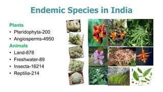 Endemic Species in India
Plants
• Pteridophyta-200
• Angiosperms-4950
Animals
• Land-878
• Freshwater-89
• Insecta-16214
• Reptilia-214
 