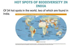 HOT SPOTS OF BIODIVERSITY IN
INDIA
Of 34 hot spots in the world, two of which are found in
India.
 